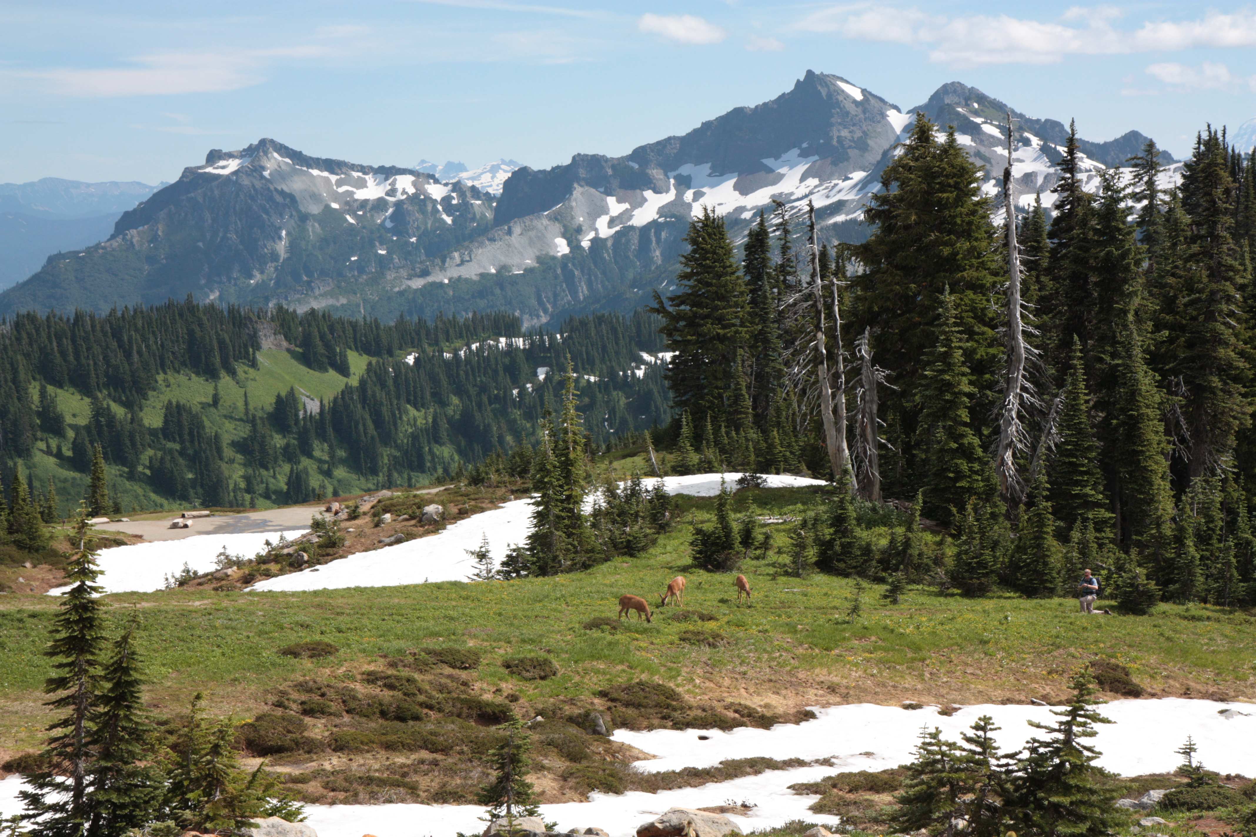 Mount Rainier NP